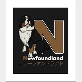 Newfoundland Letter N Posters and Art